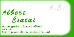 albert csatai business card